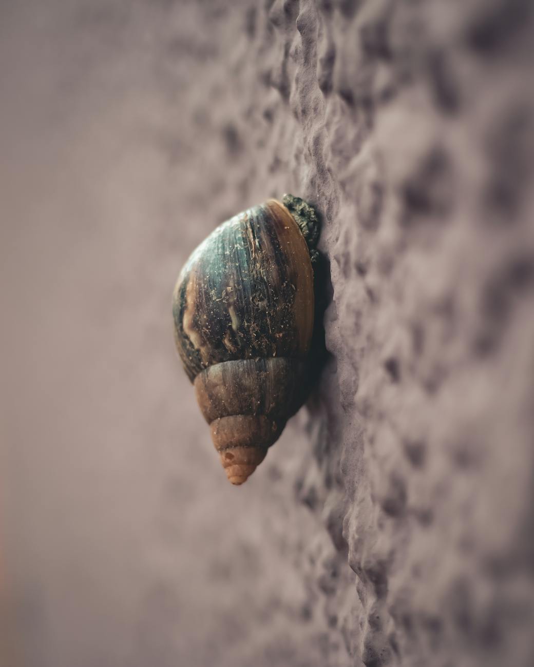 The Art of Slow Living: Embracing a Balanced Lifestyle