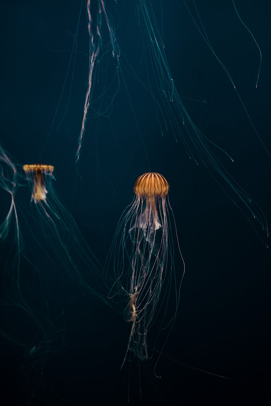 The Fascinating World of Bioluminescence: Nature's Living Light Shows