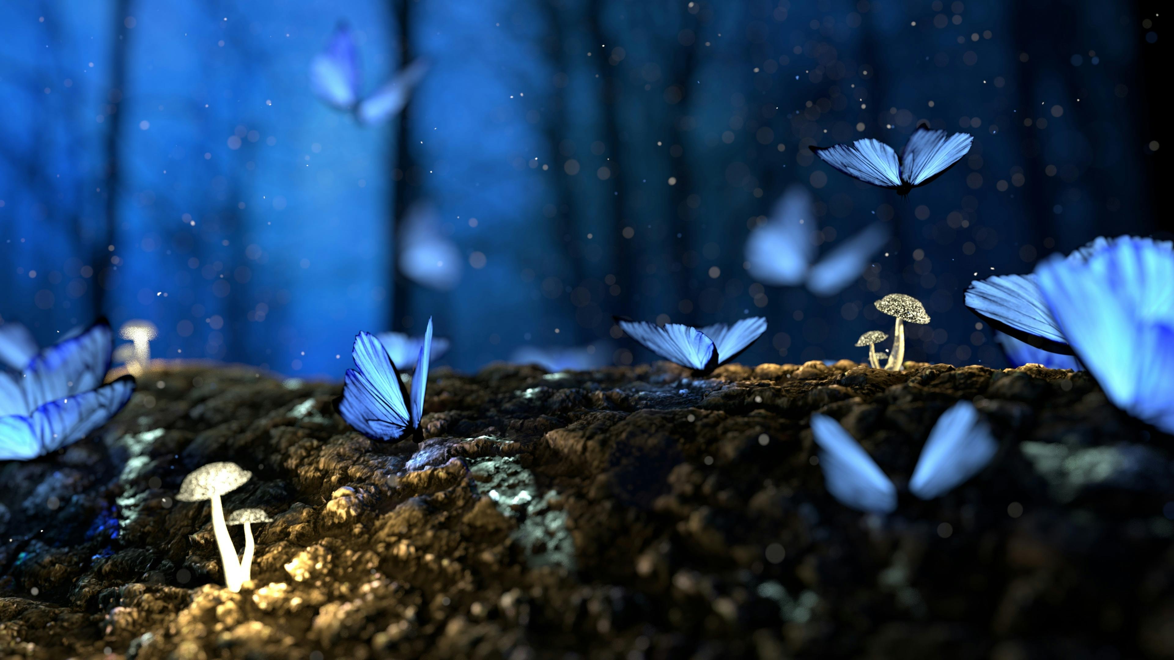 The Secret Life of Forest Floor Creatures